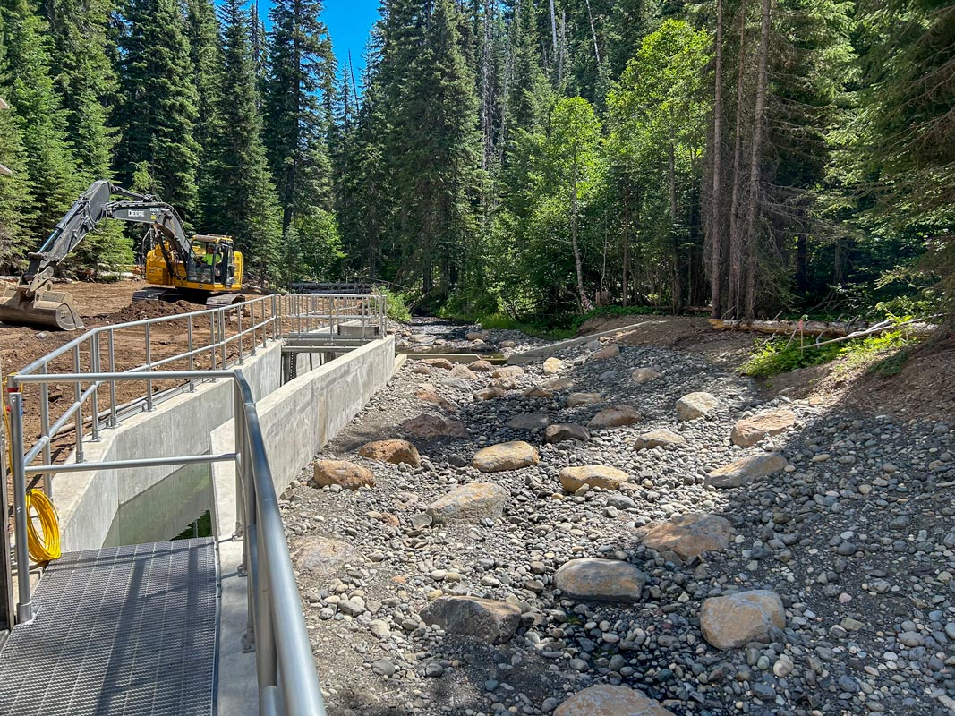 Fish Screening Dog River Fish Screening and Passage Improvements – TAPANI INC.